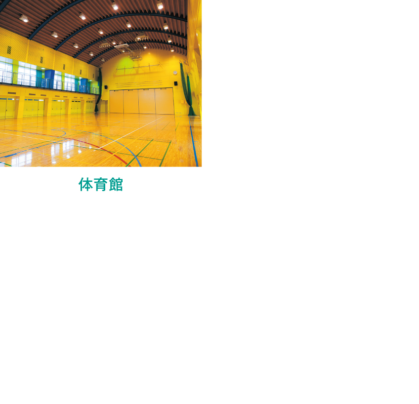 体育館