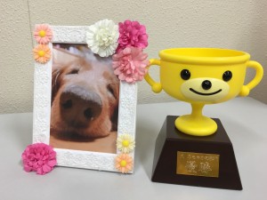 犬ぶちゃかわ部門優勝作品