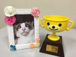 猫ぶちゃかわ部門優勝作品